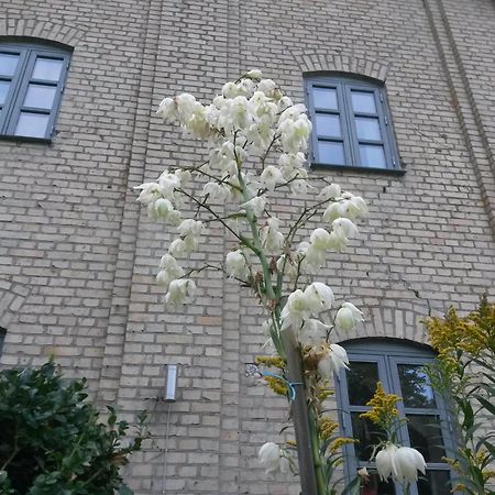 Skelstrupgaard Apartments Maribo Εξωτερικό φωτογραφία